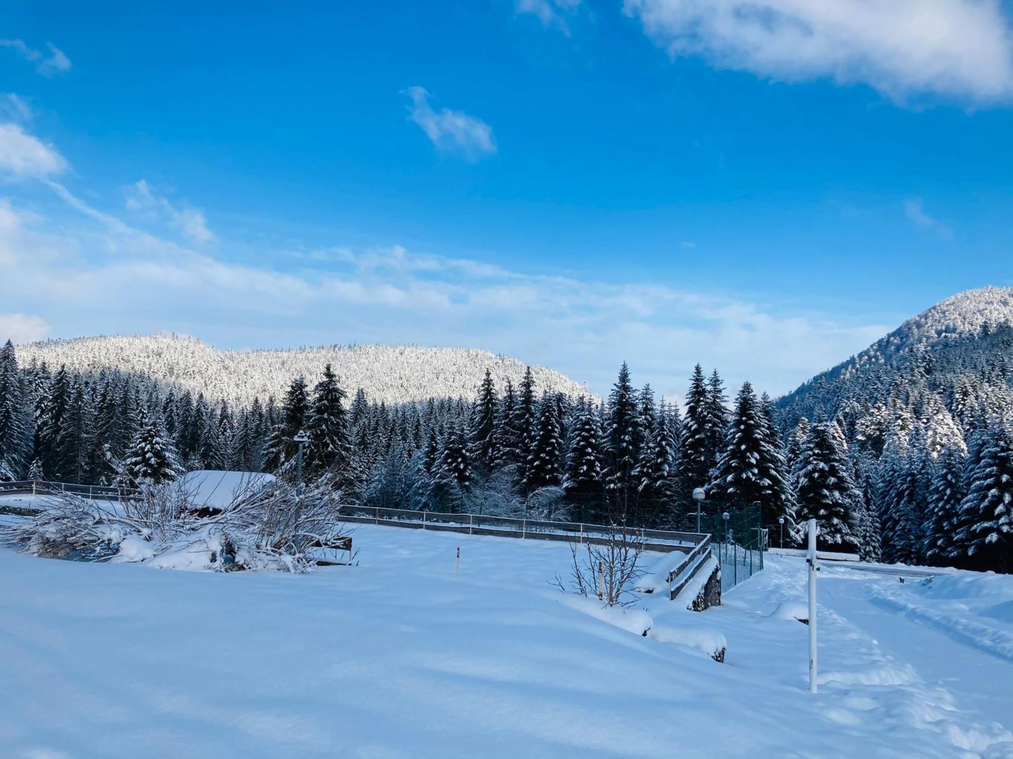 Le Perchoir Du Grand Valtin - Gite 5 Personnes - Altitude 830 Ban-sur-Meurthe-Clefcy 外观 照片