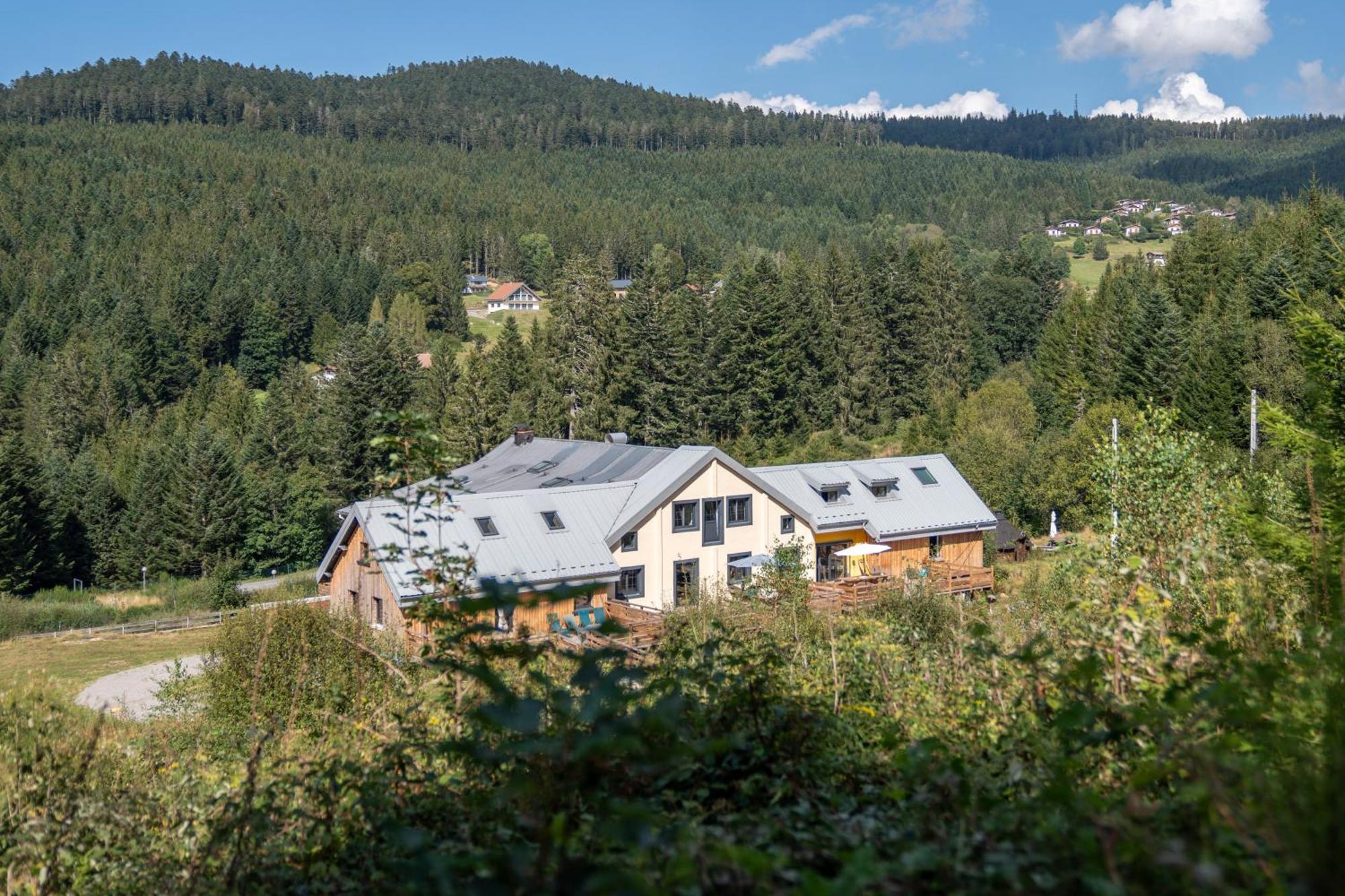 Le Perchoir Du Grand Valtin - Gite 5 Personnes - Altitude 830 Ban-sur-Meurthe-Clefcy 外观 照片